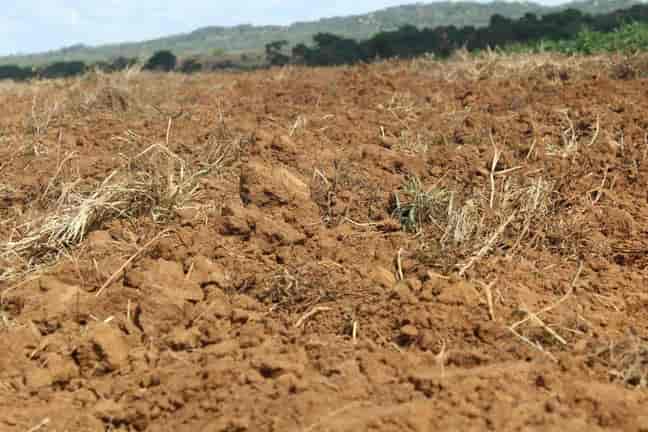 Suspected land barons nabbed for selling stands on farm land in Mutare