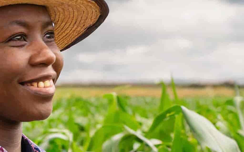 The End Justifies the Means: A Strategic Approach to Farming Success