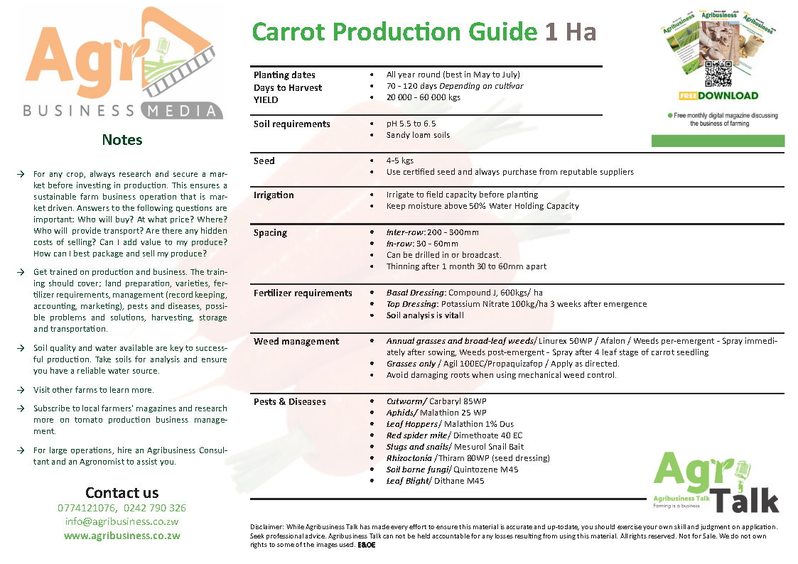 Carrot Production Guide