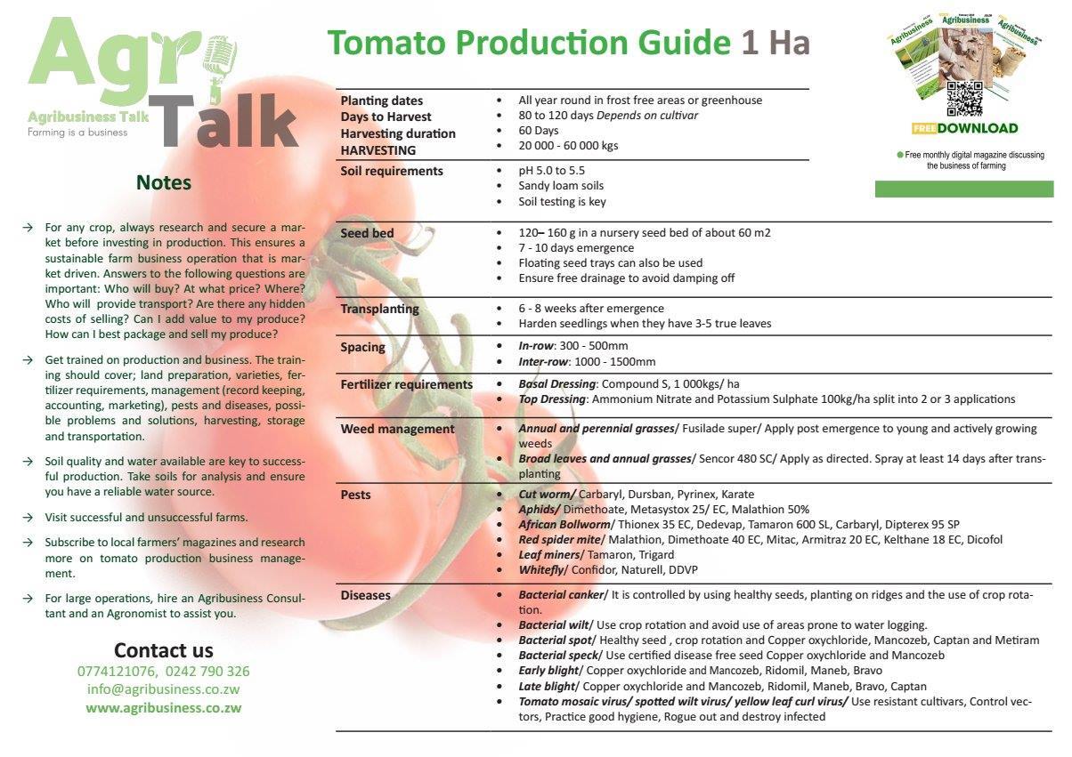 Tomato Production Guide