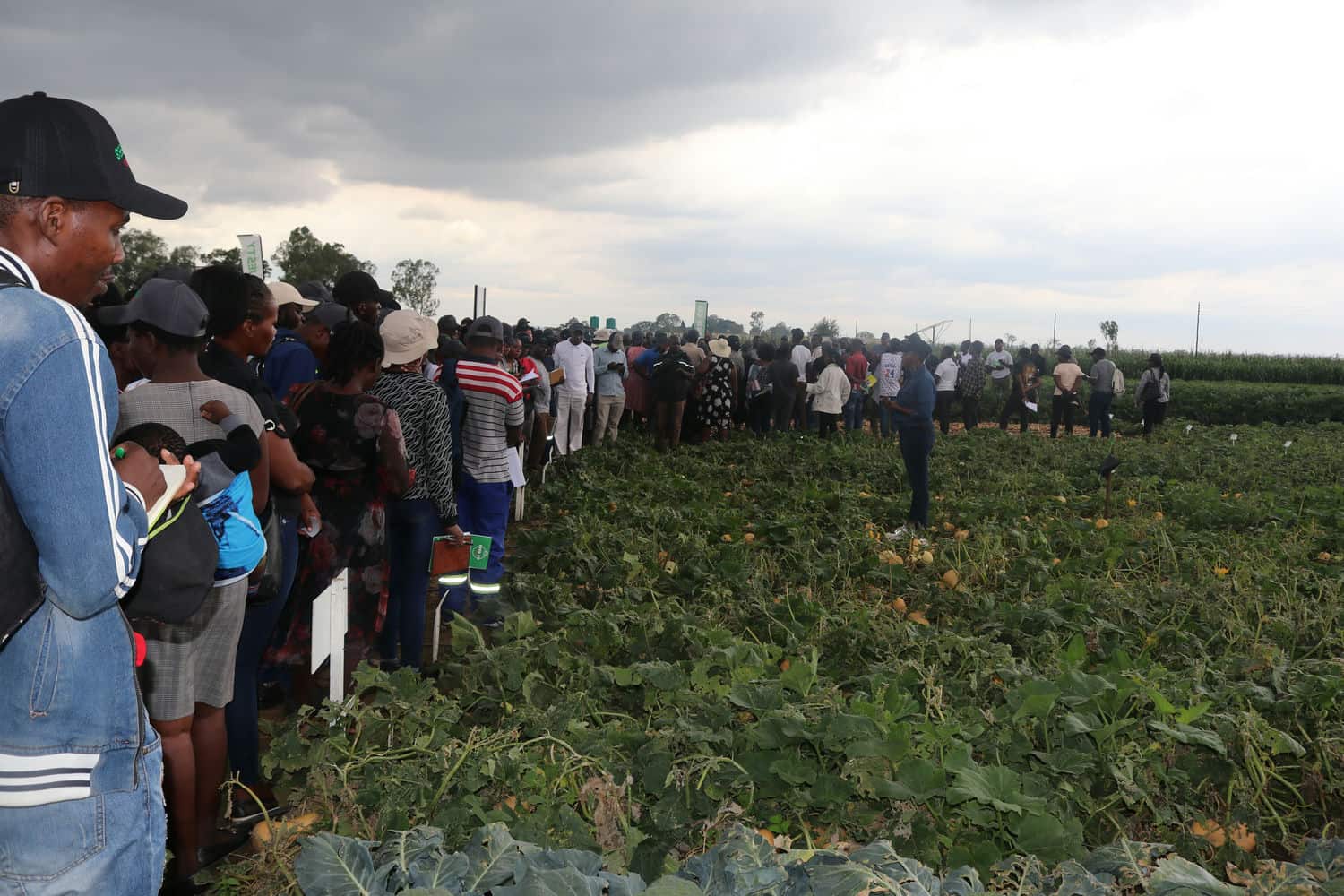 The Vital Role of Field Days for Farmers: Cultivating Knowledge, Community, and Innovation