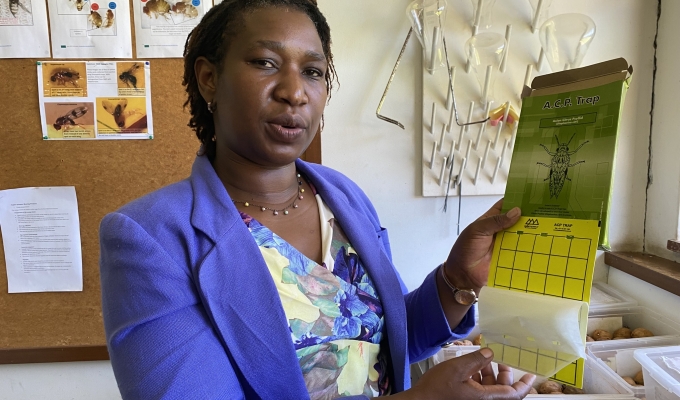 Safeguarding Zim’s Agriculture: The Critical Role of Plant Quarantine in Pest and Disease Control